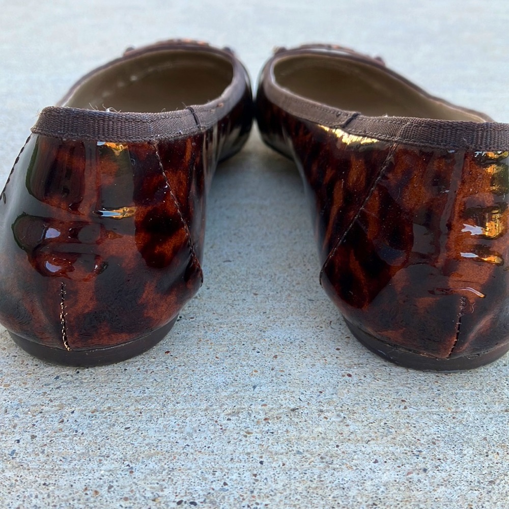 Isola Tortoise Shell flats? - Picture 5 of 5
